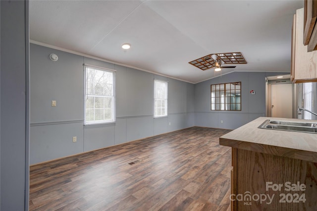 kitchen featuring ceiling fan, sink, dark hardwood / wood-style floors, crown molding, and vaulted ceiling