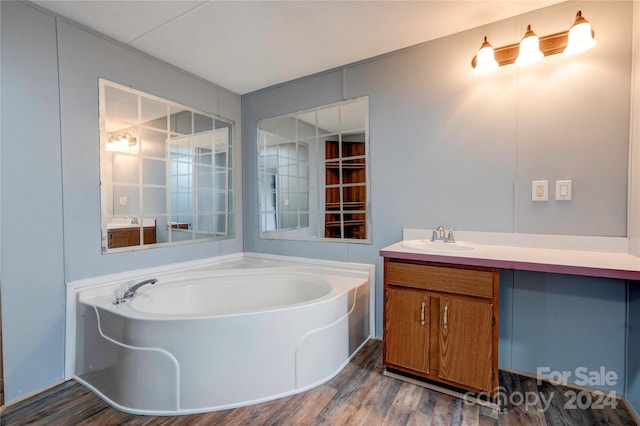 bathroom with a tub, hardwood / wood-style floors, and vanity