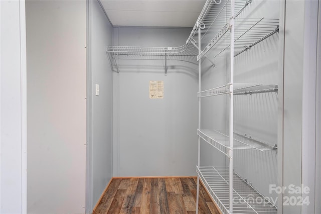 spacious closet with hardwood / wood-style floors