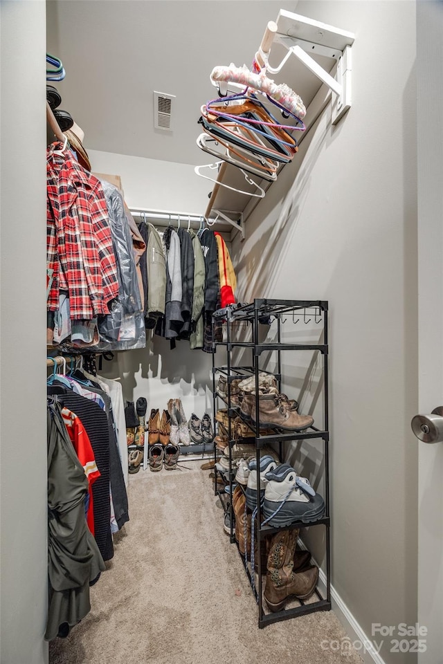 walk in closet featuring carpet floors