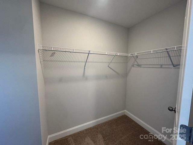 spacious closet with carpet