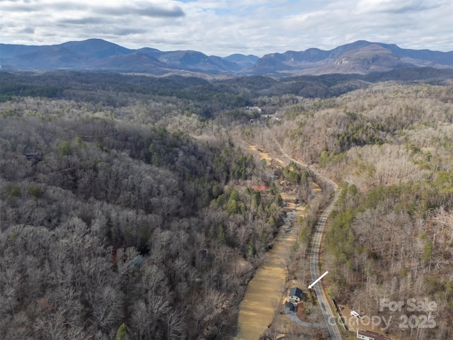 property view of mountains