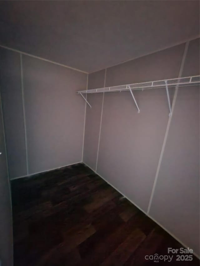 walk in closet with dark wood-type flooring