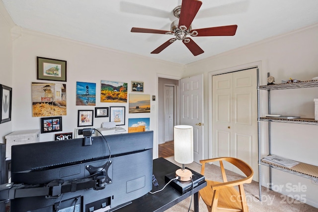 office featuring crown molding, ceiling fan, and carpet floors