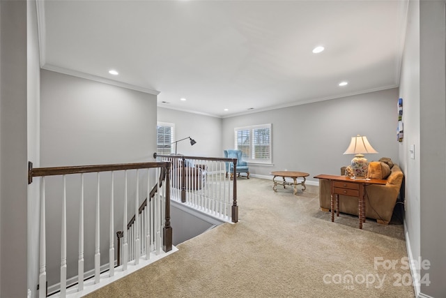 corridor featuring carpet floors and crown molding