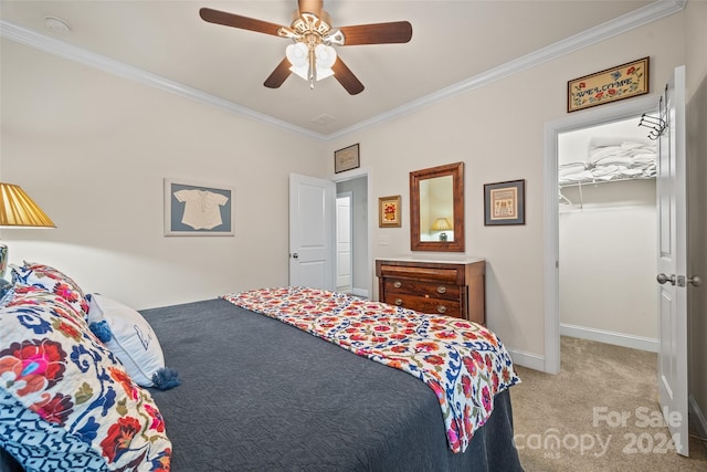 carpeted bedroom with a spacious closet, a closet, ornamental molding, and ceiling fan