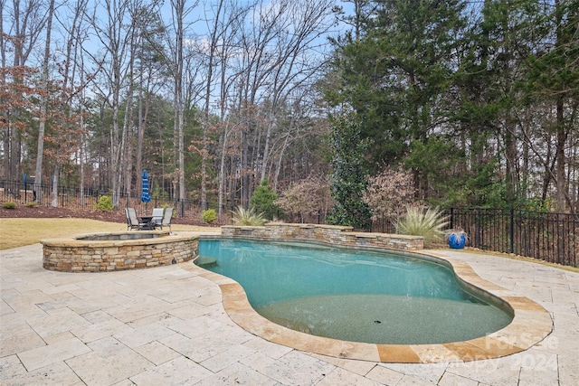 view of pool featuring a patio area