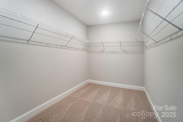 spacious closet with carpet flooring