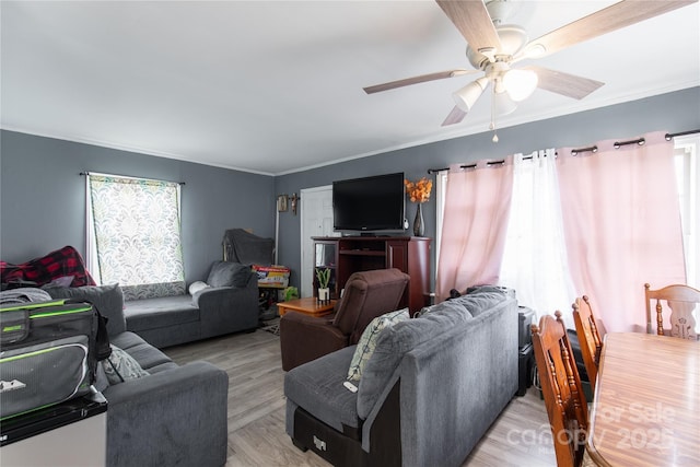 living room with ceiling fan, ornamental molding, and light wood-style flooring