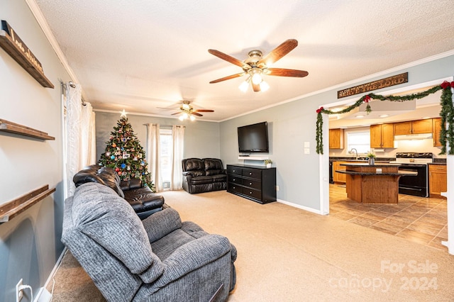 living room featuring ceiling fan, sink, ornamental molding, and a textured ceiling