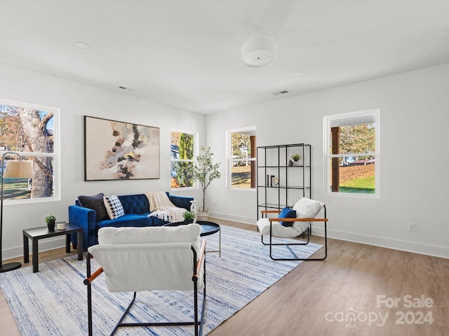 living room featuring light hardwood / wood-style flooring