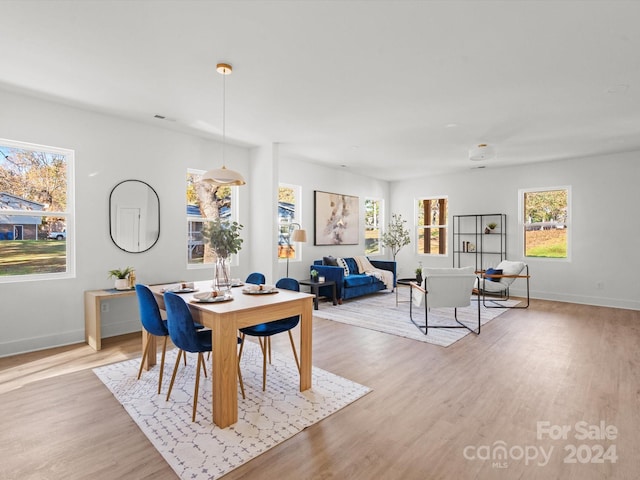 dining area with light hardwood / wood-style floors