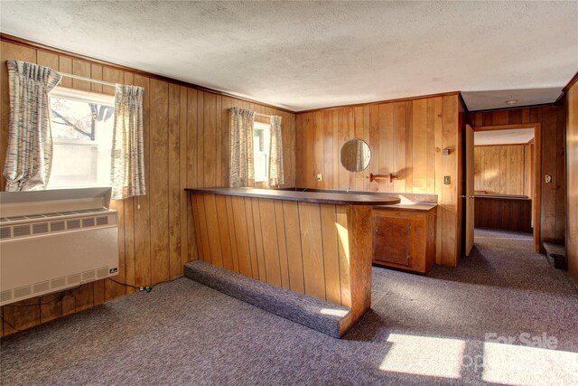 bar with carpet flooring, a textured ceiling, heating unit, and wood walls