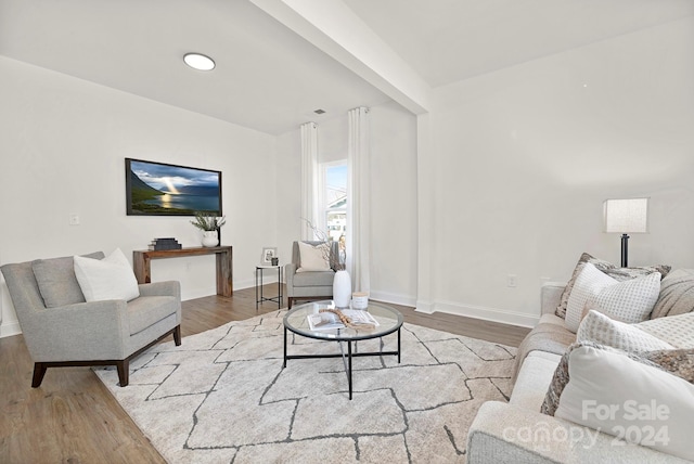 living room featuring hardwood / wood-style floors