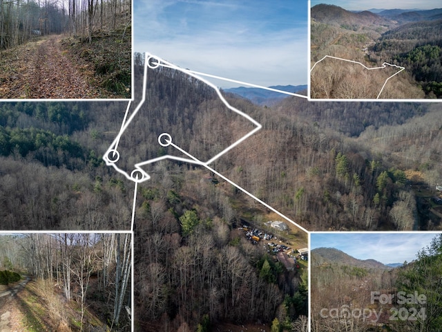 9999 Cove Mountain Rd, Burnsville NC, 28714 land for sale