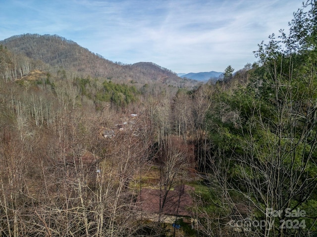 Listing photo 2 for 9999 Cove Mountain Rd, Burnsville NC 28714