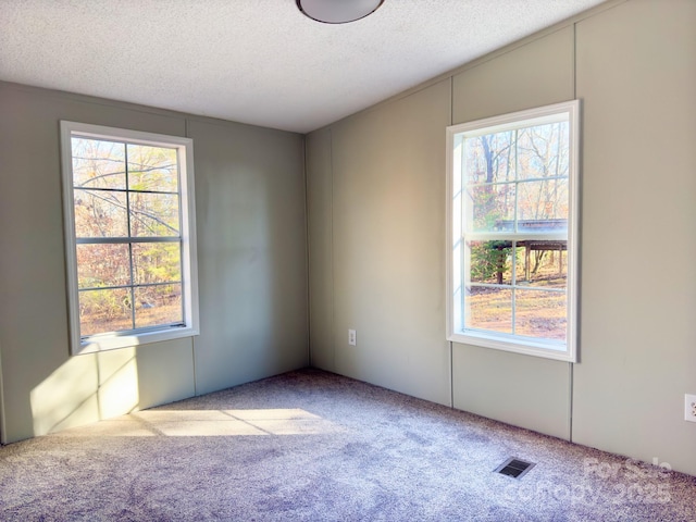 carpeted spare room featuring a textured ceiling and a wealth of natural light