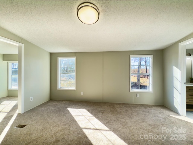 empty room featuring light carpet and a wealth of natural light