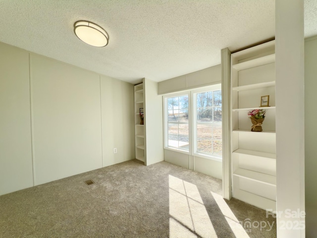 empty room featuring carpet flooring and a textured ceiling