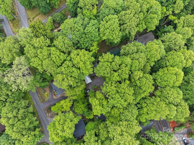 bird's eye view