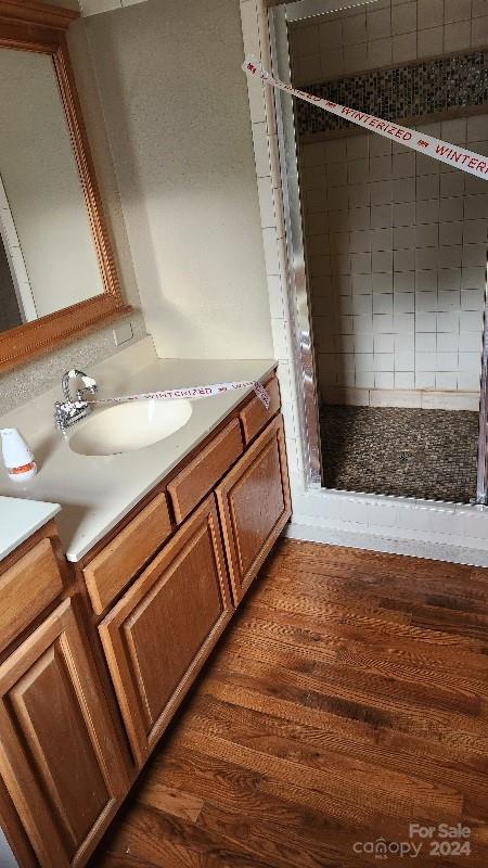 bathroom with hardwood / wood-style floors and vanity