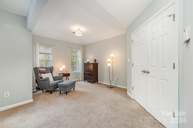 sitting room with light colored carpet