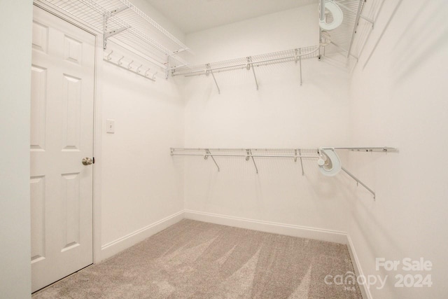 131 Quail Haven Dr, Troutman, NC 28166 - spacious closet with carpet floors