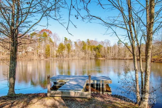 view of dock with a water view