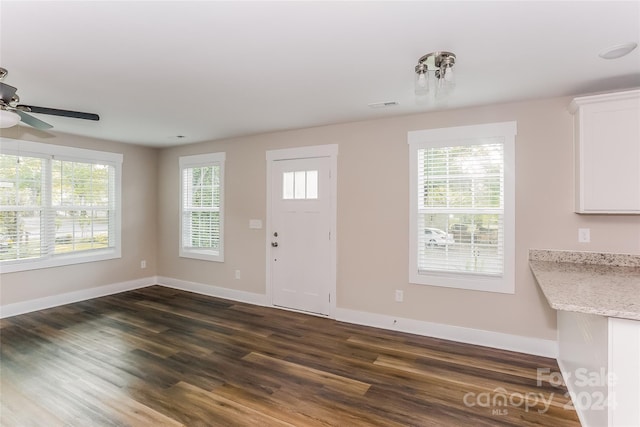 foyer entrance featuring ceiling fan, dark wood-type flooring, and a healthy amount of sunlight