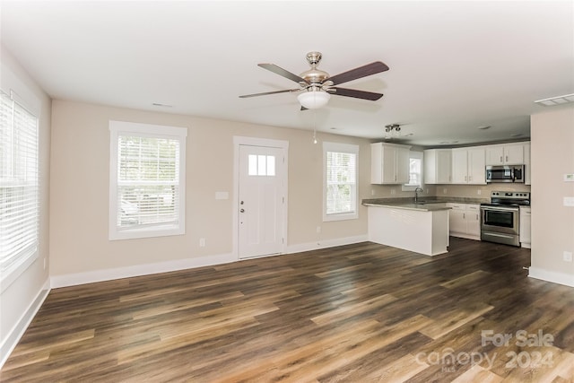 kitchen with white cabinets, appliances with stainless steel finishes, dark hardwood / wood-style flooring, and a wealth of natural light