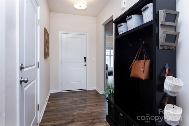 mudroom featuring dark hardwood / wood-style flooring