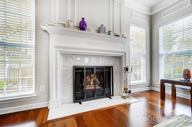 details featuring a high end fireplace, ornamental molding, and hardwood / wood-style flooring