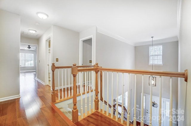 corridor with hardwood / wood-style floors, plenty of natural light, and crown molding