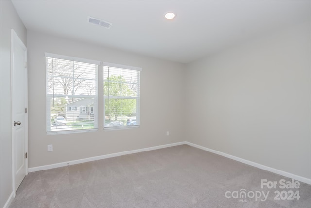 unfurnished room featuring light colored carpet and plenty of natural light