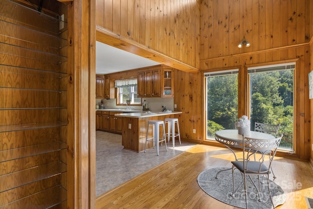 dining room featuring light hardwood / wood-style flooring, plenty of natural light, and wooden walls