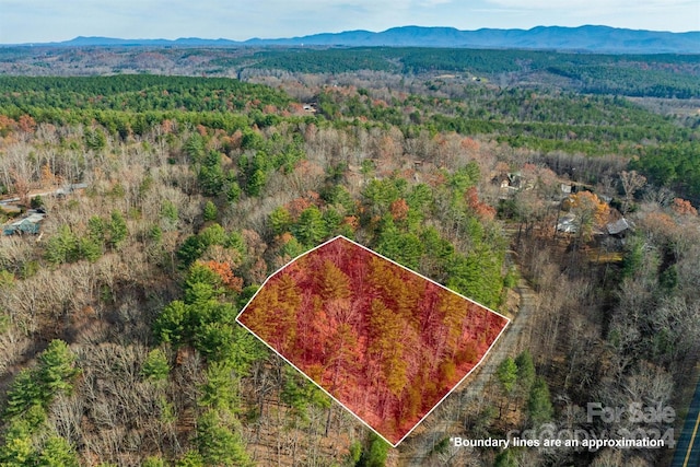 133 James Bob Stafford Dr, Nebo NC, 28601 land for sale