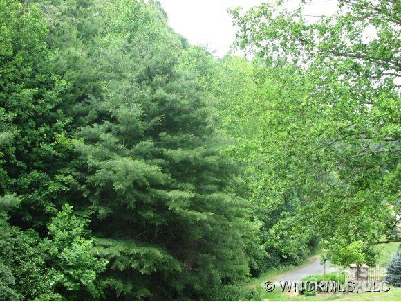 3 Mountain Magnolia Dr, Leicester NC, 28748 land for sale