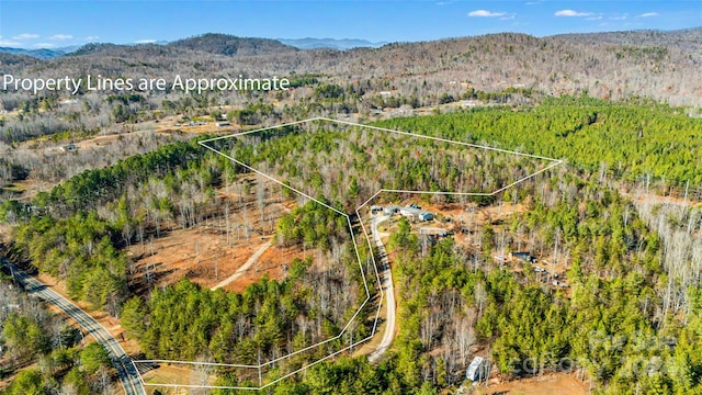 00 Vein Mountain Rd, Nebo NC, 28761 land for sale