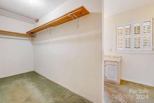 spacious closet featuring light carpet