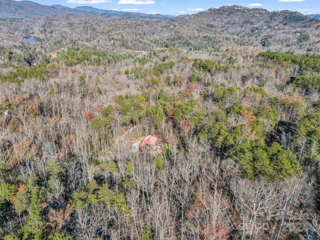 property view of mountains