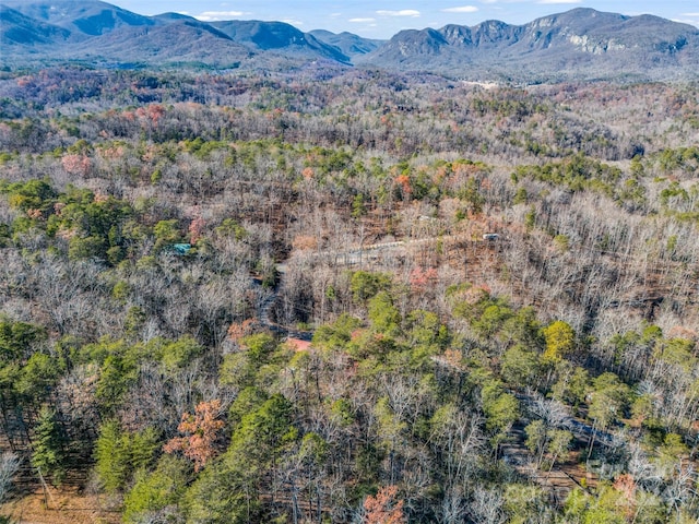 view of mountain feature