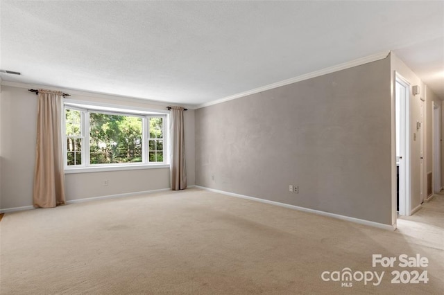 carpeted empty room with crown molding