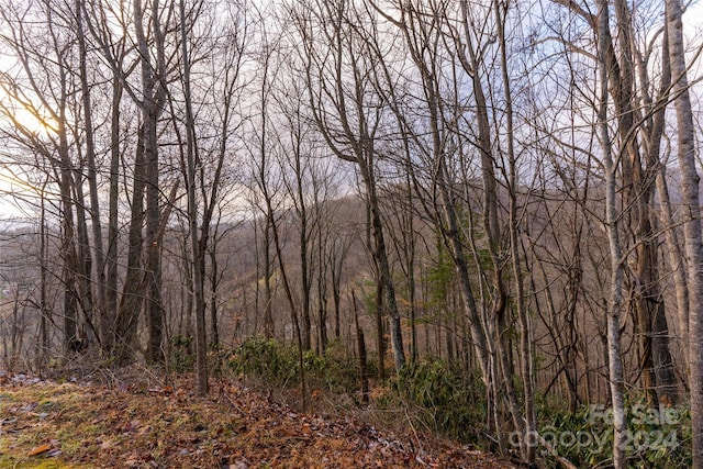 Listing photo 2 for 00 Turkey Run Ln, Mars Hill NC 28754