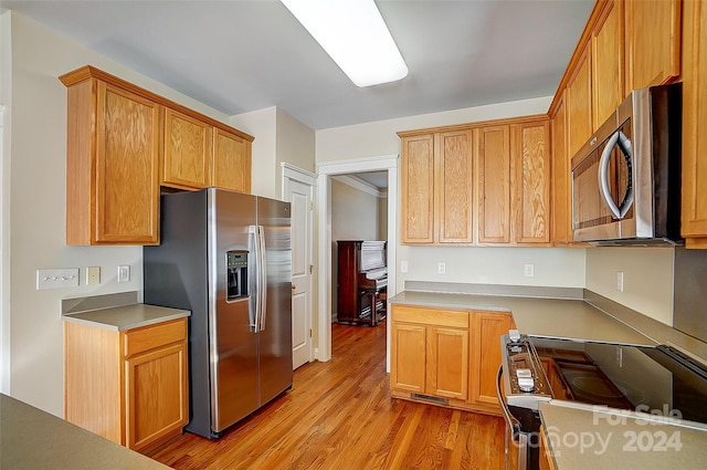 kitchen with light hardwood / wood-style flooring and appliances with stainless steel finishes