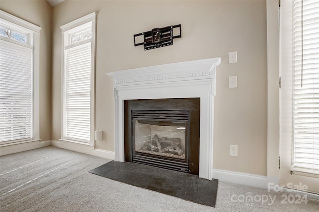 interior details with carpet floors