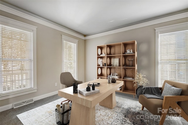 carpeted office featuring plenty of natural light and crown molding