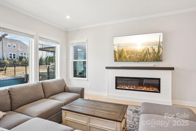 living room featuring crown molding