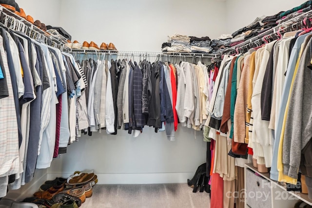 view of spacious closet