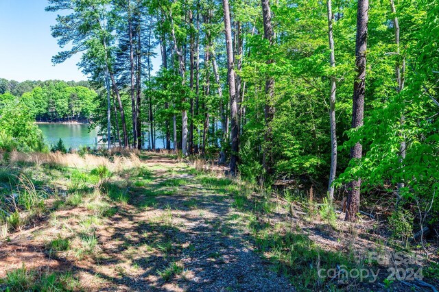 2471 Camelia Pointe Dr, Sherrills Ford, NC 28673 - photo 13