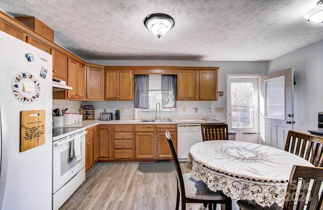 kitchen with a textured ceiling, white appliances, sink, and light hardwood / wood-style flooring